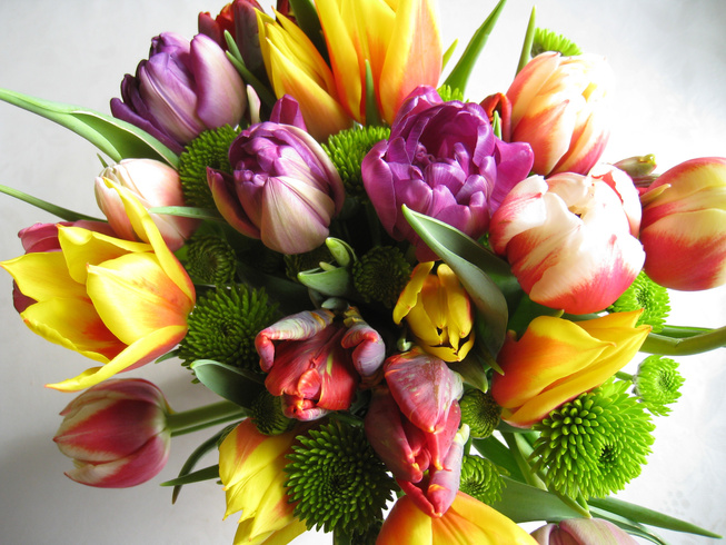 Bunch of Colorful Flowers